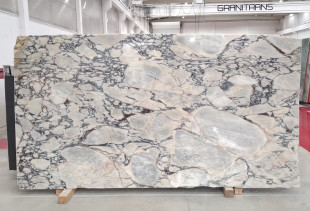 MARMORE CALACATTA VIOLA - 013279