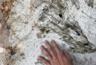 QUARTZITE ALPINUS PATAGONIA - 002865 QUARTZITE ALPINUS PATAGONIA - 002865