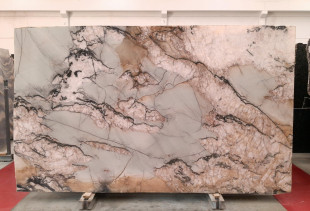 QUARTZITE BOTANIC CRYSTAL - 231117