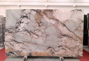 QUARTZITE BOTANIC CRYSTAL - 231117