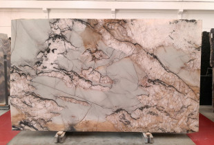 QUARTZITE BOTANIC CRYSTAL - 231117
